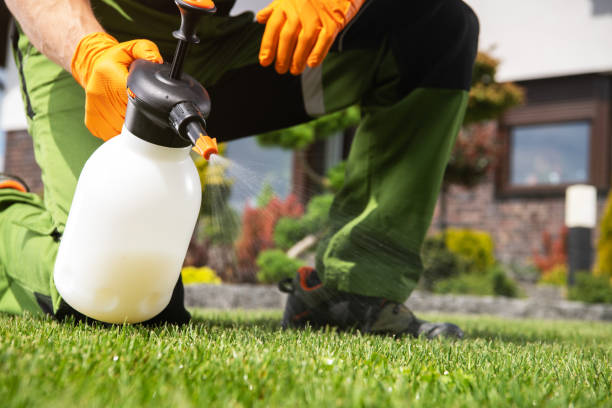 Best Lawn Pest Control  in Beesleys Point, NJ